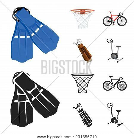 Flippers For Swimming, Basketball Basket, Net, Racing Holograph, Golf Bag. Sport Set Collection Icon
