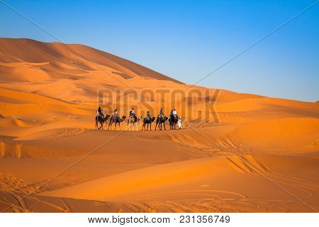 Camel Caravan Going Through The Sand Dunes In The Sahara Desert, Merzouga, Morocco