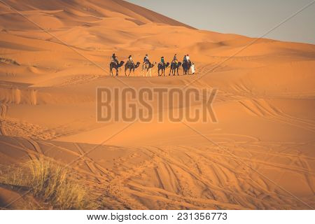 Camel Caravan Going Through The Sand Dunes In The Sahara Desert, Merzouga, Morocco
