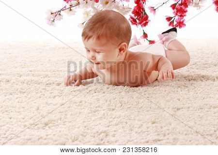 Happy Smiling The Baby Is Lying On Her Stomach On The Carpet In The Room And Smiling Under The Branc