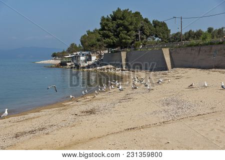 Amazing View Of Skala Sotiros, Thassos Island, East Macedonia And Thrace, Greece