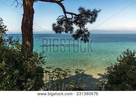 Beach With Blue Waters In Thassos Island, East Macedonia And Thrace, Greece