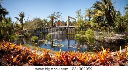 Reflective Pond With Water Lilies And Plants At The Naples Botanical Gardens