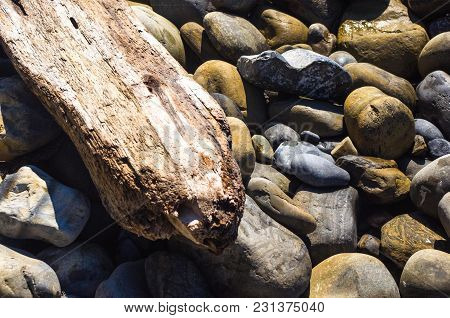 Driftwood, Washed Up By The Sea On A Pebble Beach On A Warm Summer Day