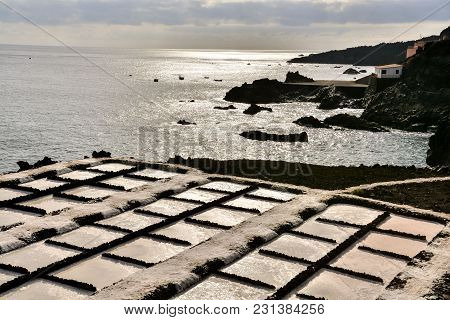 Picture Photo Of Salt Flats In The Canry Islands