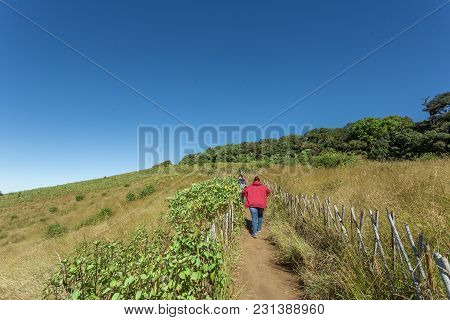 Kew Mae Pan Nature Trail , Chiangmai Thailand