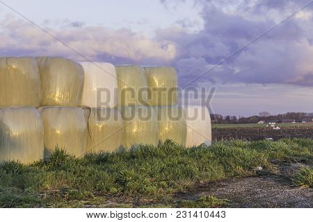 Stacked Like A Pyramid,round Bales Of Hay And Silage Wrapped In A White Membrane.food For Cows  Is S