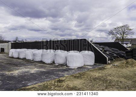 Stacked Like A Pyramid, Round Bales Of Hay And Silage Wrapped In A White Membrane. Food For Cows   .