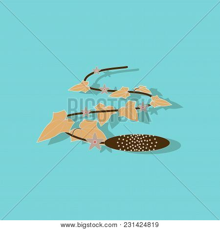Paper Sticker On Stylish Background Of Plant Cucumis