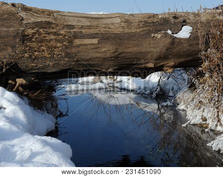 A Natural Bridge In The Form Of A Log Through An Ice-free Spring With Snowy Shores.