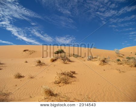 Dune di sabbia 185