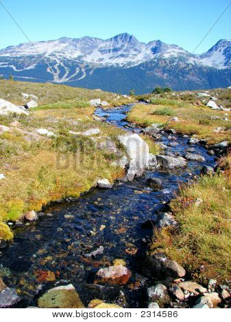 Glacier Creek