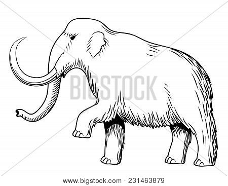 Mammoth. Black And White Stylized Vector Illustration