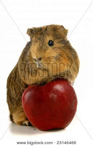อ้อยและแอปเปิ้ลแดง