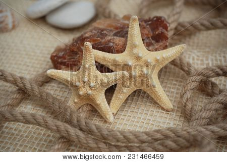 Close Up Of A Sarfish On Rustic Marine Background With Copy Space. Summer And Vacation Background Co