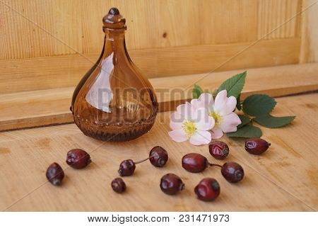 Medicinal Plants - Eglantine - Flowers, Fruits