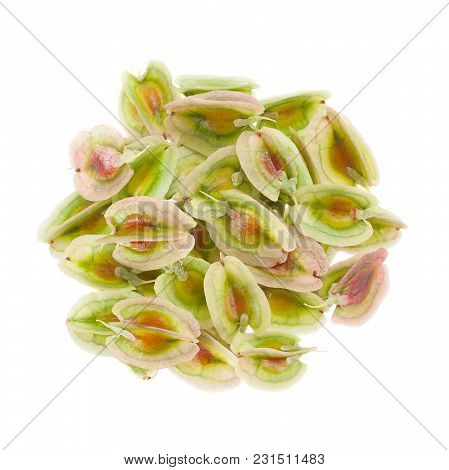 Rhubarb Vegetable Seed Closeup Isolated On White