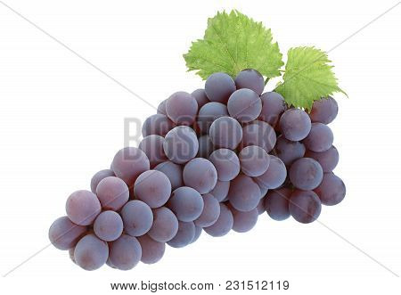 Canadian Lydia Grapes With Leaf Isolated On White