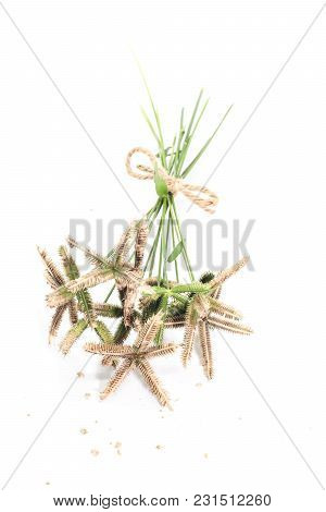 Closeup Of Bouquet Crowfoot Grass Or Beach Wiregrass Or Egyptian Crowfoot Grass On Brown Wooden