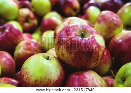 Fresh Raw Lot Of Green Red Apples On Counter, Many Organic Fresh Sweet Apples, Pile Apples Forming A
