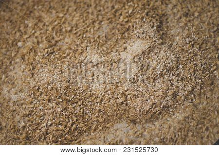 Mashing Of Milled Malt Grains Into Heated Water To Prepare Wort. Craft Beer Brewing From Grain Barle