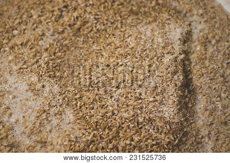 Mashing Of Milled Malt Grains Into Heated Water To Prepare Wort. Craft Beer Brewing From Grain Barle