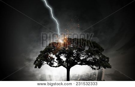 Bright lightning hit the tree