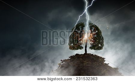 Bright lightning hit the tree