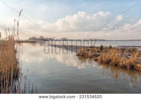 Wide Creek In A Dutch Nature Reserve