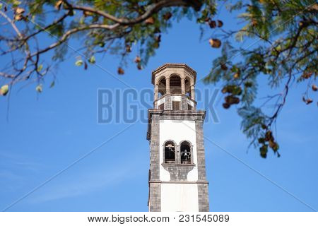 Bell Tower On Santa Cruz De Tenerife Over Blue Sky Background. View Through A Tree. Copy Space.