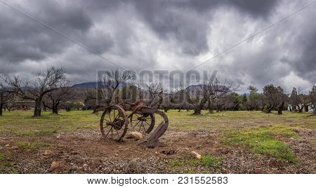 Vintage And Rustic Plow Trailer In Foreground Of Tree Orchard In Winter Under Blustery Rain Clouds.