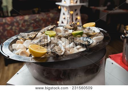 Fresh Oyster Served On White Stones On A Tray In A Restaurant