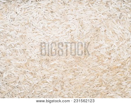 The Rice Grains. Closeup. Isolated. White. Macro