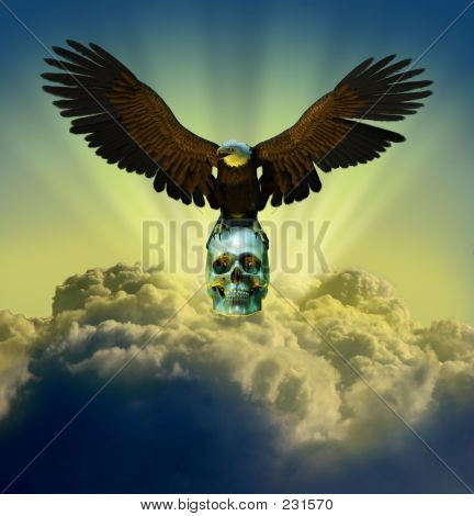 두개골과 하늘에 있는 독수리