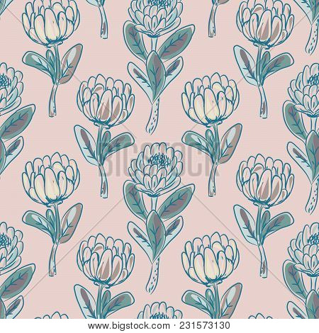 Protea Flower Seamless Vector Pattern. Hand Drawn Dust Pink Floral Background.