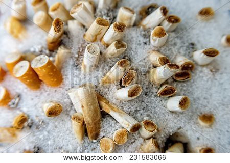 Some Squeezed Cigarettes In An Ashtray In Winter With Snow