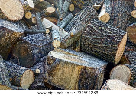 A Pile Of Brown Firewood And Logs In The Yard