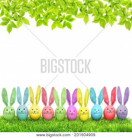 Easter Eggs. Colorful Funny Bunny In Green Grass On White Background. Spring Tree Branches