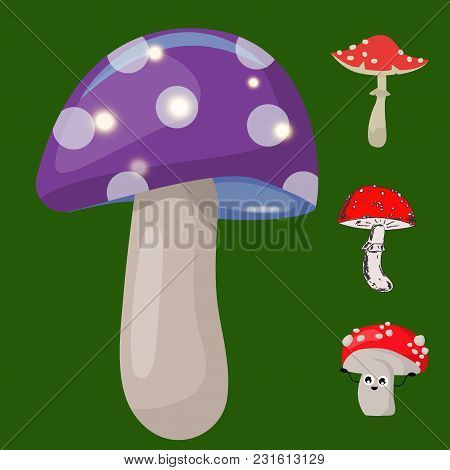 Style Of Amanita Mushrooms Set Vector Poisonous Season Toxic Fungus Food Cartoon Muscaria, Toadstool