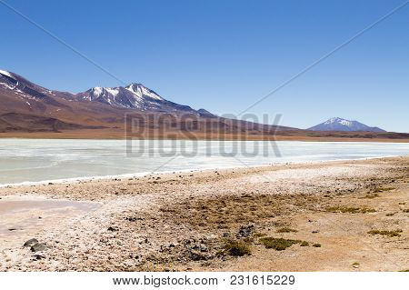 Laguna Hedionda Landscape,bolivia. Beautiful Bolivian Panorama. Blue Water Lagoon