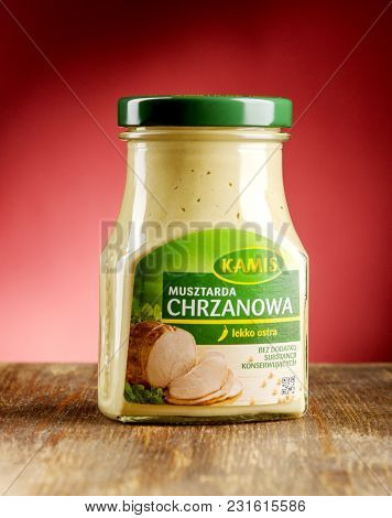 Kwidzyn, Poland - March 17, 2018: Kamis Mustard On Gradient Background. Kamis Was Founded In Poland 