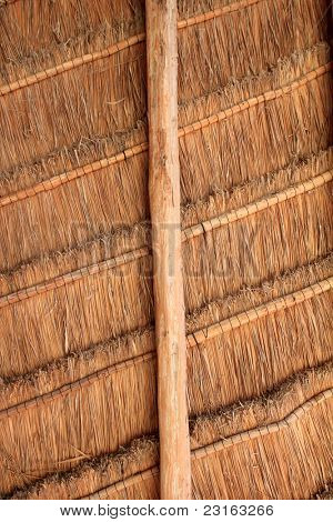 Chata palapa z tropické Mexiko dřevo kabina střešní detaily