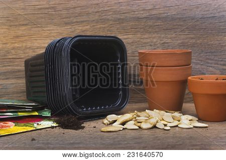 A Photo Of Ceramic And Black Plastic Flower Pots For Plants, Pumpkin, Squash And Zucchini Seeds Read