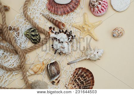 Summer And Vacation Concept. Mix Of Shells And Stones Over Ivory Board
