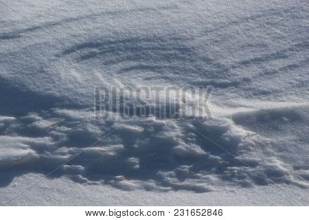 A Clear Winter Day In The Field / Footprints In The Snow / Shadows In The Snow