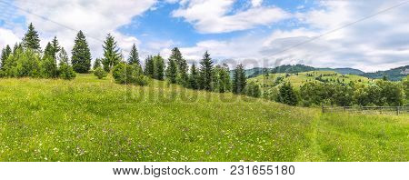 Beautiful Spring Panorama With A Meadow Full Of Colorful Field Flowers, A Footpath, And A Line Of Gr