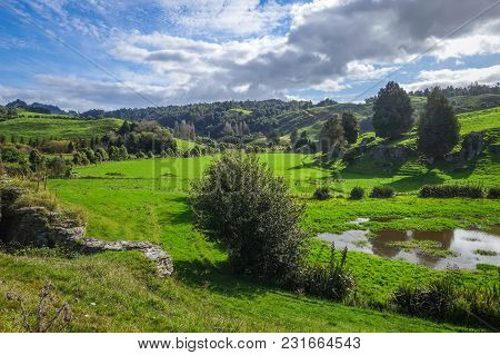 New Zealand Countryside Fairy Landscape In Waitomo