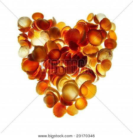 Cuore di conchiglie