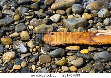Driftwood, Washed Up By The Sea On A Pebble Beach On A Warm Summer Day