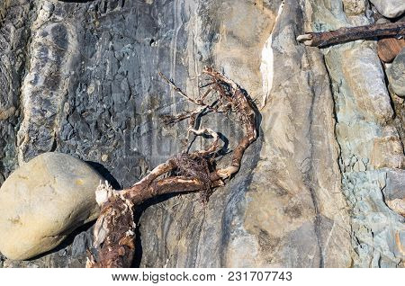 Driftwood, Washed Up By The Sea On A Pebble Beach On A Warm Summer Day
